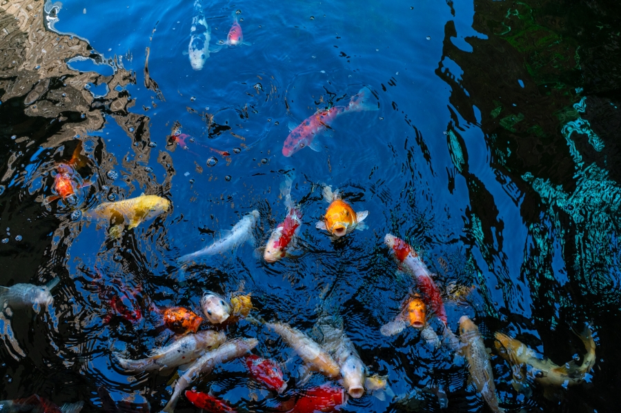 3 Bedroom Property for Sale in Helderrand Western Cape